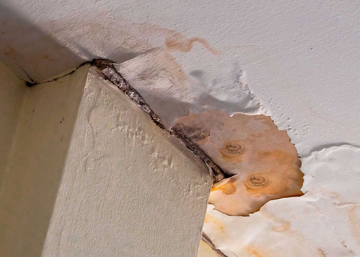 Water damage causing mold from a water leak on a ceiling in Manchester Township